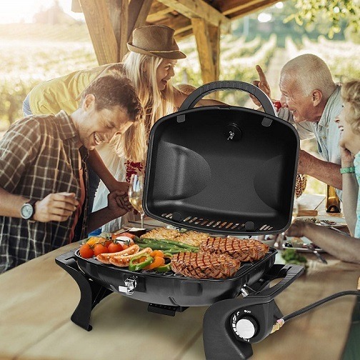 best small propane grill